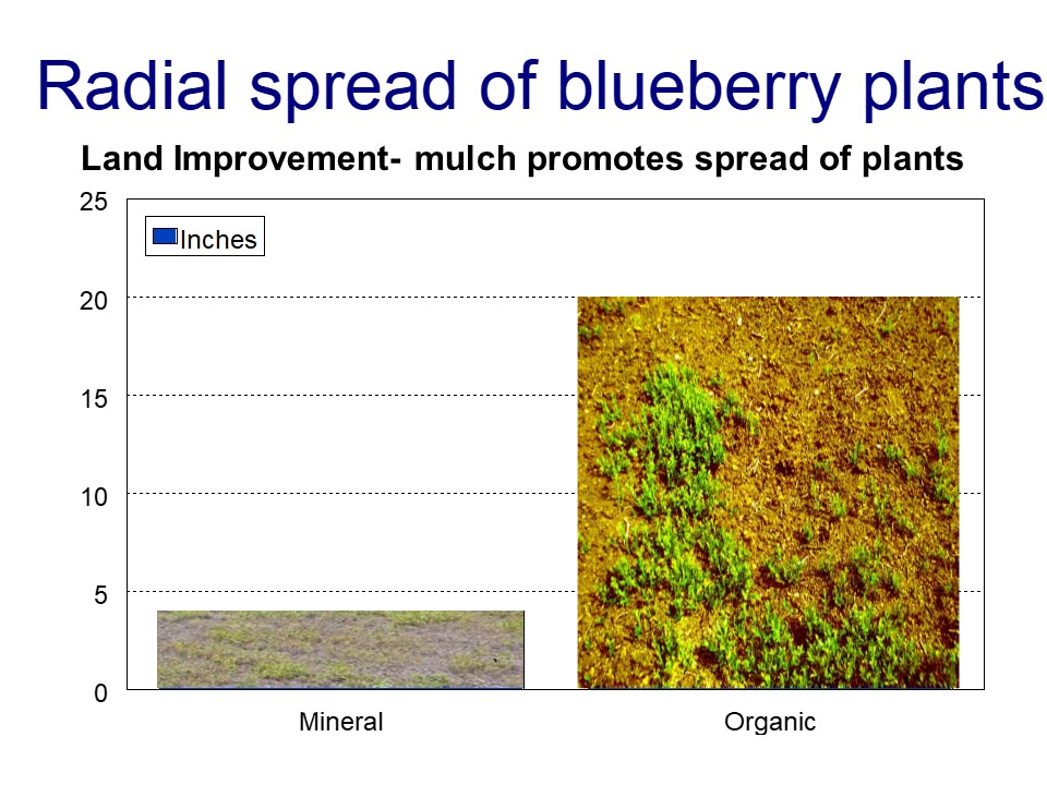 Dr. David Yarborough Precision Agriculture Research Program Dalhousie University